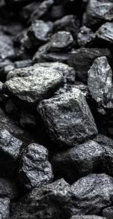 Activated Carbon Raw Material Coal Tingyuan Carbon