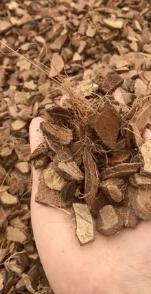 Coconut Shell Activated Carbon Raw Materials Tingyuan Carbon