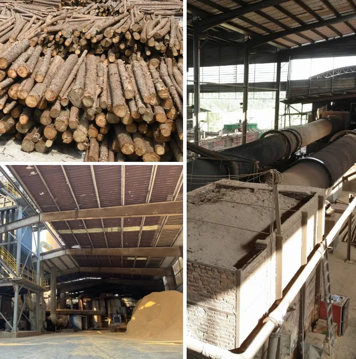 Advanced Manufacturing Facilities For Wood Based Activated Carbon Tingyuan Carbon
