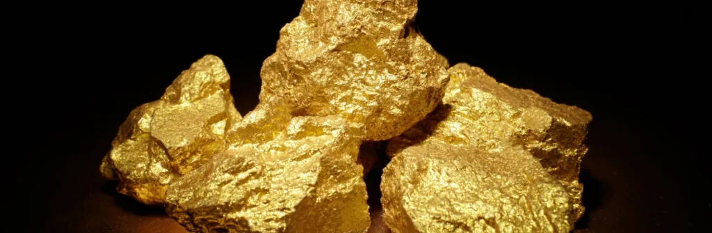 Gold Recovery Activated Carbon Suppliers - Tingyuan Carbon