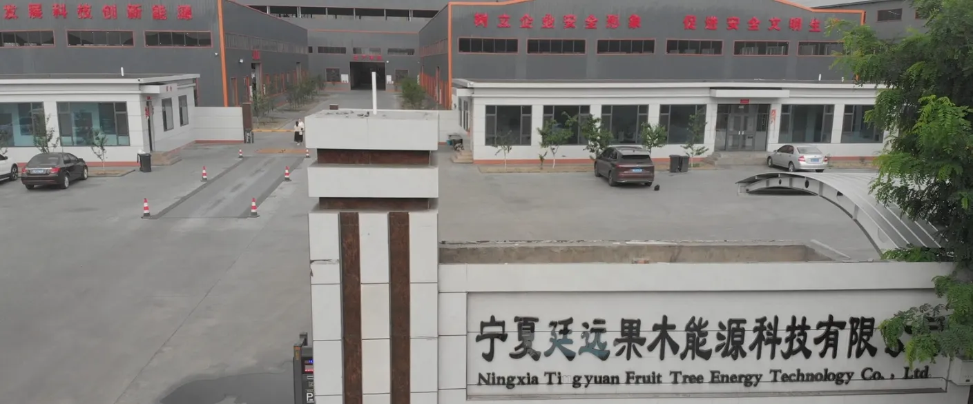Tingyuan Carbon