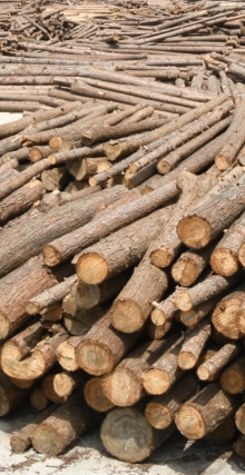 Wood Based Activated Carbon Raw Materials Tingyuan Carbon
