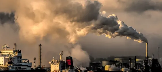 Activated Carbon For Removing Odours From Industrial Exhaust Gases - Tingyuan Carbon