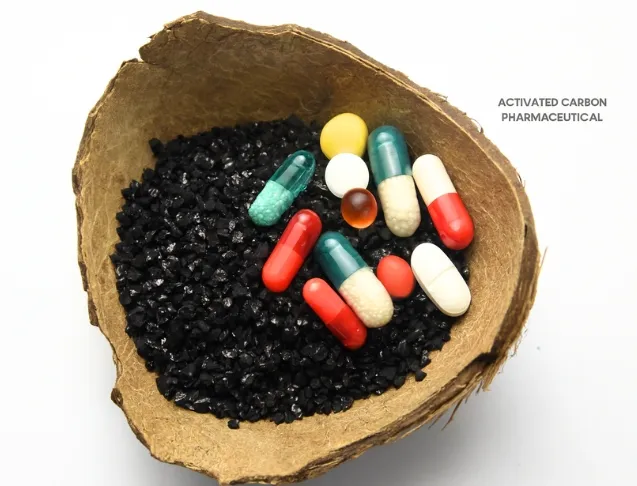 Coconut Shell Activated Carbon For The Pharmaceutical Industry - Tingyuan Activated Carbon