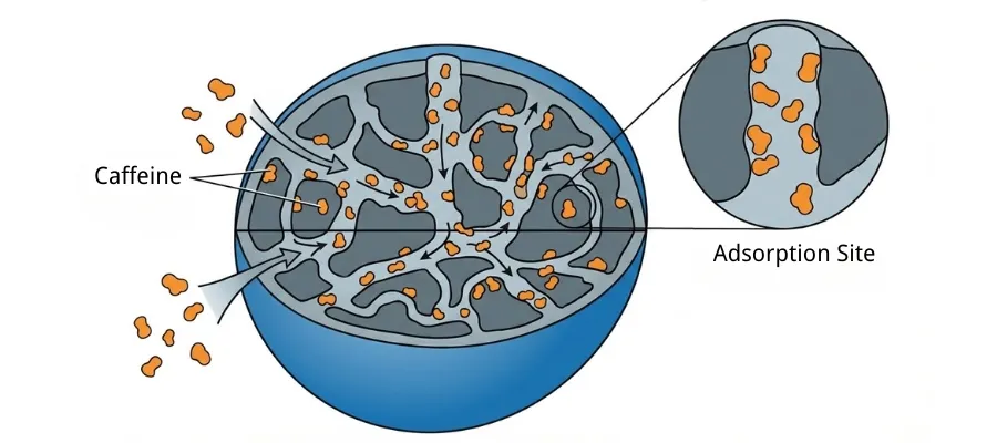 How Activated Carbon Works In Decaffeination - Tingyuan Carbon