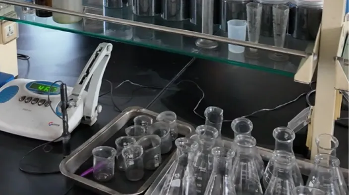 Quality Inspection Of Activated Carbon - Tingyuan Activated Carbon