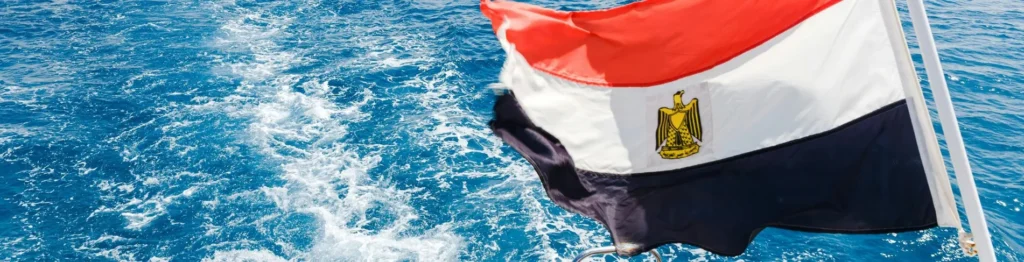 Activated Carbon Manufacturer In Egypt - Tingyuan Activated Carbon