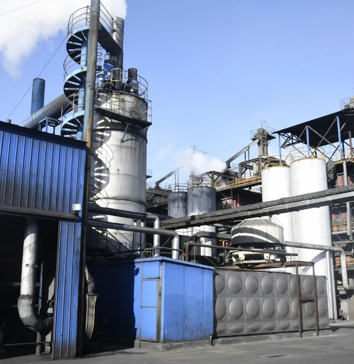 Argentinas Largest Manufacturer And Supplier Of Activated Carbon - Tingyuan Activated Carbon