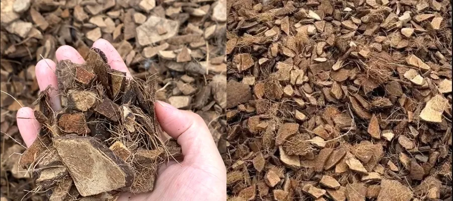 Relationship Between Coconut Shell Charcoal Hardness And Raw Materials - Tingyuan Activated Carbon