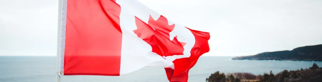 Activated Carbon Manufacturer In Canada - Tingyuan Activated Carbon