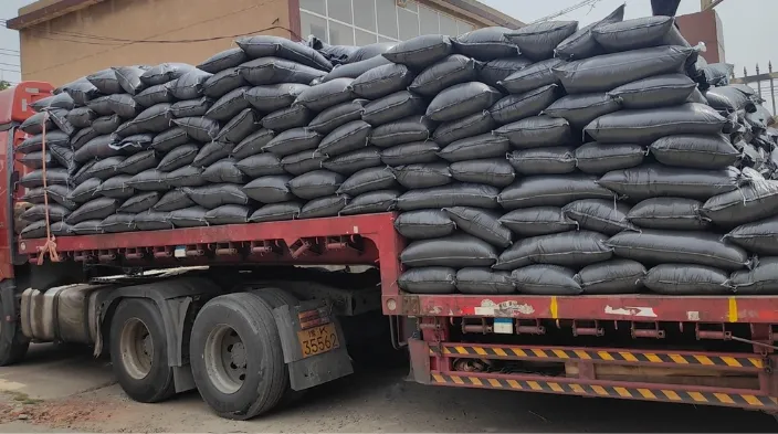 Philippines Activated Carbon Supplier Shipment - Tingyuan Activated Carbon