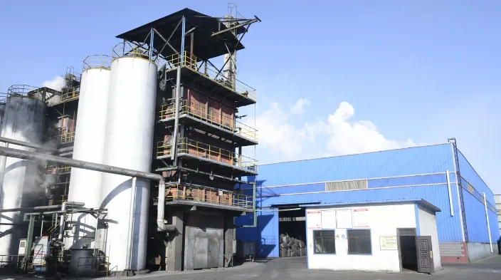 Spanish Activated Carbon Plant - Tingyuan Activated Carbon