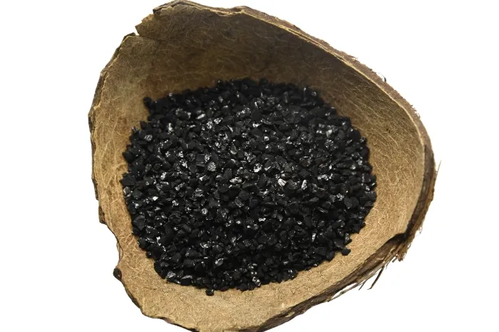Coconut Shell Activated Carbon Supplier In Kazakhstan - Tingyuan Activated Carbon