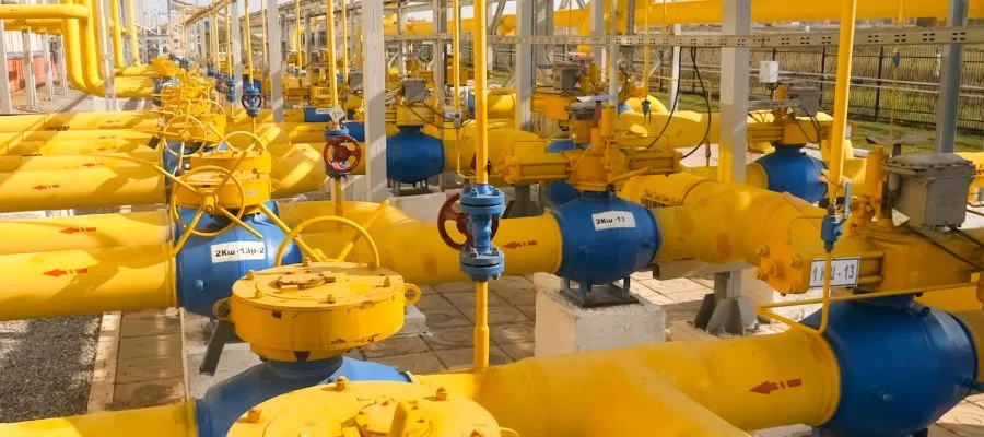 Activated Carbon For Natural Gas Desulfurization - Tingyuan Activated Carbon