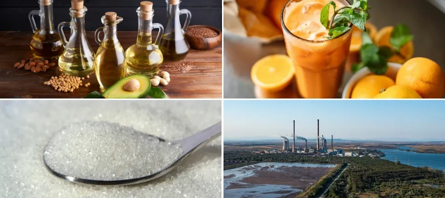 Typical Application Fields Of The Molasses Number - Tingyuan Activated Carbon