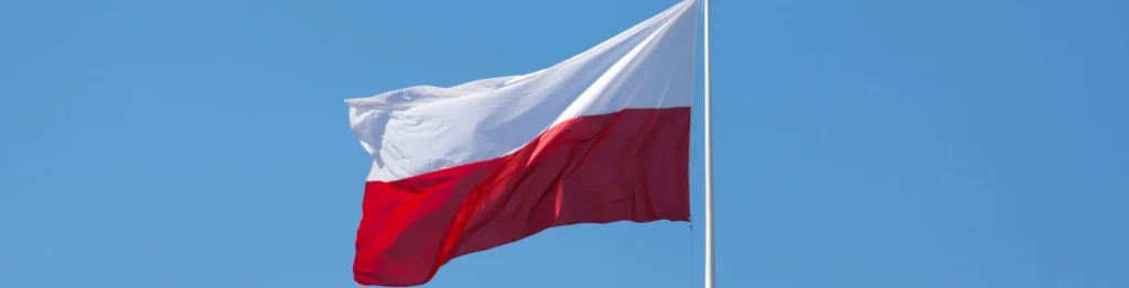 Activated Carbon Manufacturer In Poland - Tingyuan Activated Carbon